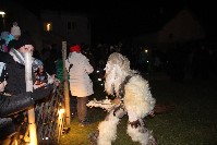 Thumbs/tn_foto_ 050.jpg